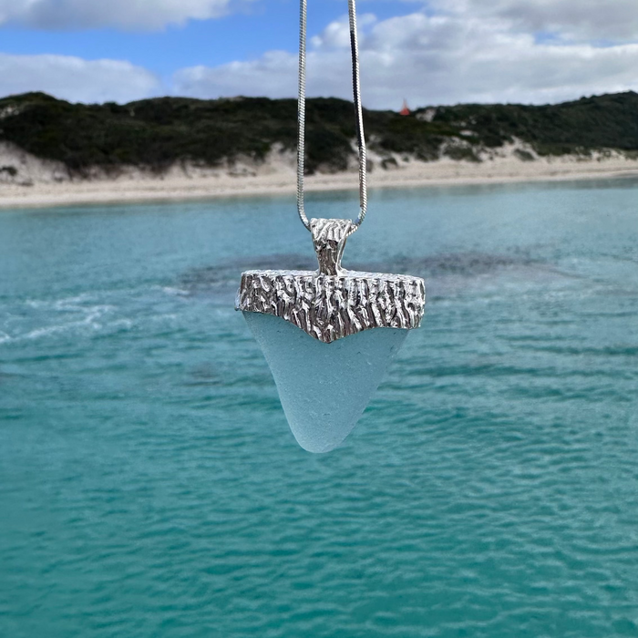 Shark Tooth Pendant