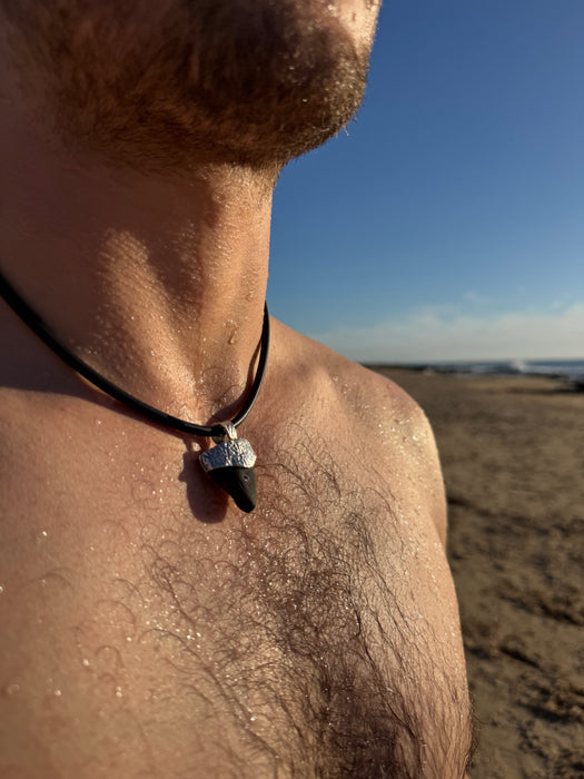 Shark Tooth